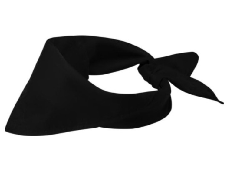 PF38341900 - Bandana H&eacute;racl&egrave;s