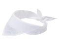 PF38341900 - Bandana H&eacute;racl&egrave;s