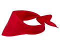 PF38341900 - Bandana H&eacute;racl&egrave;s