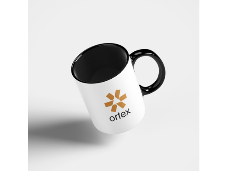 Mug bicolore