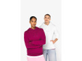TTNS401 - Sweat-shirt &eacute;coresponsable &agrave; capuche unisexe