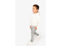TTNS404 - Sweat-shirt &eacute;coresponsable &agrave; capuche enfant