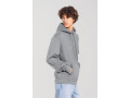TTSC62294 - Sweat-shirt &agrave; capuche Iconic 250