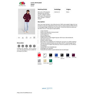 TTSC62294  Sweatshirt à capuche Iconic 250