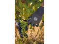 TTWKP709 - Gants tactiles de protection contre les coupures
